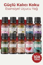 Auran Esansiyel Uçucu Yağ Seti (10'lu Paket)