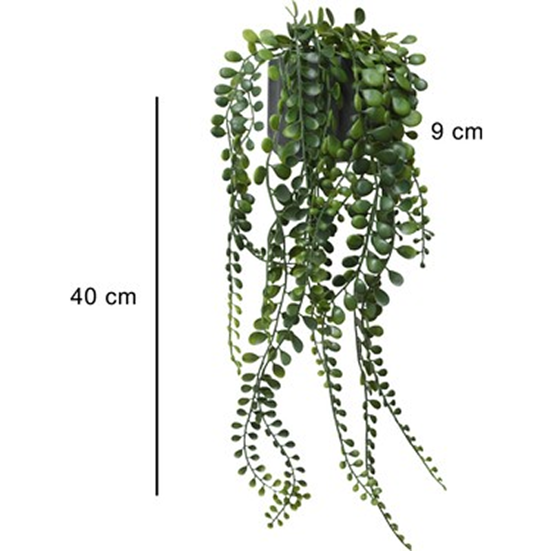 110000741593797 1 DEKORATİF OKOLİPTUS SARKAN ÇİÇEK - Görsel 1