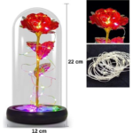 IŞIKLI SONSUZLUK GÜLÜ FANUSU