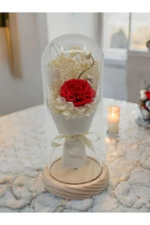 GÜL FANUSU - Görsel 2