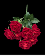 7'Lİ GÜL - Görsel 3