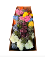 5'Lİ KASIM PATI - Görsel 5