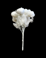 12'Lİ ŞAKAYIK - Görsel 6