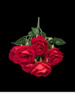 7'Lİ GÜL - Görsel 2