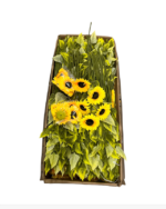 5 KAFALI AY ÇİÇEĞİ - 1 METRE - Görsel 4