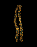 AYÇİÇEKL DOĞALGAZ SARMAŞIĞI - Görsel 4