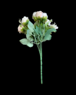 10'LU GÜL ŞAKAYIK - Görsel 3