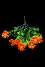 PAPATYA BUKETİ - Görsel 3