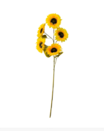 5 KAFALI AY ÇİÇEĞİ - 1 METRE - Görsel 2