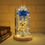 AYICIKLI IŞIKLI SONSUZLUK FANUSU