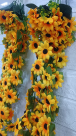 AYÇİÇEKL DOĞALGAZ SARMAŞIĞI