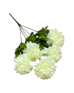 5'Lİ KASIM PATI - Görsel 4