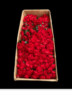 7'Lİ GÜL - Görsel 4