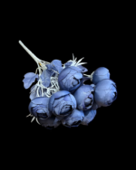 12'Lİ ŞAKAYIK - Görsel 3