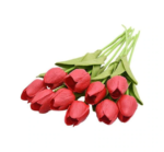 YERLİ ISLAK LALE - Görsel 2