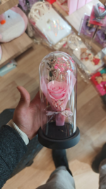 GÜLLÜ LED FANUS - Görsel 3