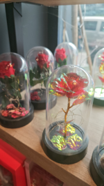 IŞIKLI SONSUZLUK GÜLÜ FANUSU - Görsel 3