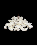 5'Lİ BAHARDALI - Görsel 3