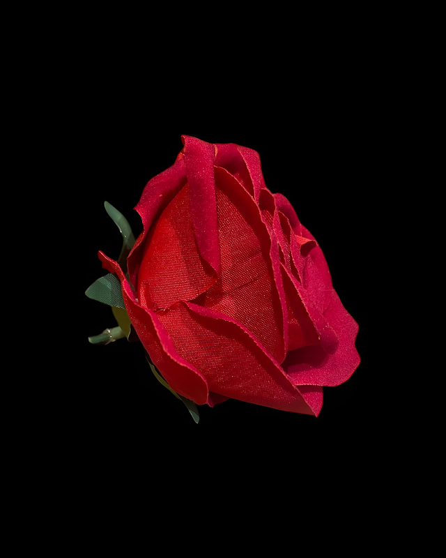 c80b18e1-1338-4797-96b1-dec7c4a6f5b0 1 GÜL KAFASI - Görsel 1