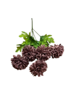 5'Lİ KASIM PATI - Görsel 2