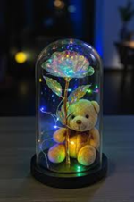 IŞIKLI AYICIKLI ÇİÇEK FANUSU