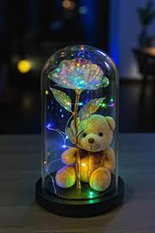 download 6 (1) IŞIKLI AYICIKLI ÇİÇEK FANUSU - Görsel 1