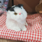 UYKUCU MİYAVLIYAN KEDİ 18 CM