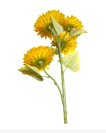 5 KAFALI AY ÇİÇEĞİ - 1 METRE - Görsel 3