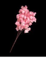 5'Lİ BAHARDALI - Görsel 5