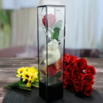 KUTULU AYICIKLI HEDİYELİK GÜL