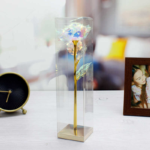 KUTULU SENİ SEVİYORUM GÜLÜ